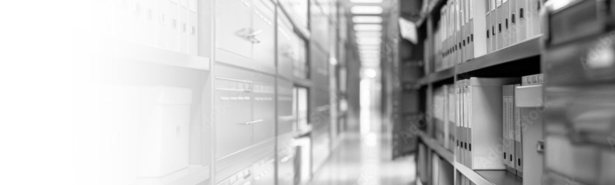 Trayectoria histórica