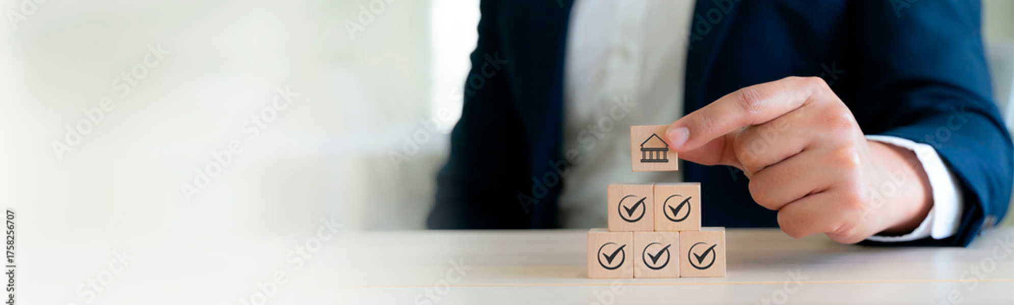 Órganos de Gobierno.