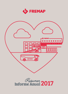 5. Resumen Informe Anual 2017.pdf