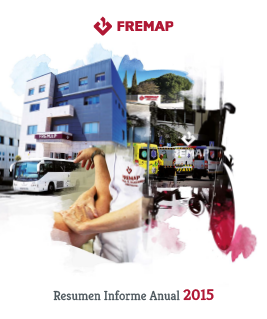 9. Resumen Informe Anual 2015.pdf