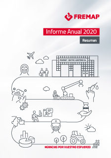 9. Resumen Informe Anual 2020.pdf