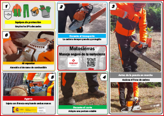 Motosierra. Manejo seguro de la motosierra.pdf
