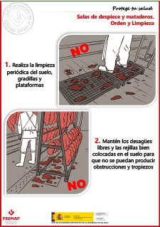 Salas de despiece y mataderos. Orden y limpieza.pdf