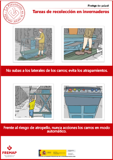 Seguridad en tareas de recolección en invernaderos.pdf