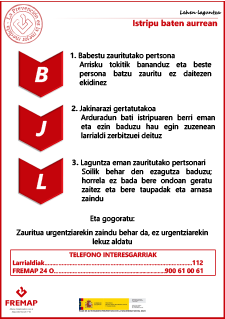 En caso de accidente (Euskera). ME.CAR.487.pdf