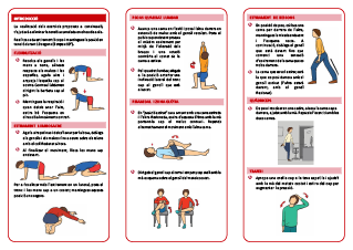 Realización de estiramientos (catalán)