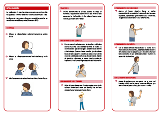 Realización de estiramientos: cervicales y extremidades superiores