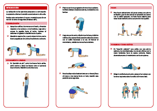 Realización de estiramientos: lumbares y extremidades inferiores