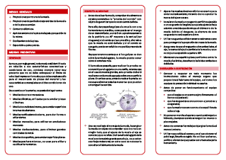 Recomendaciones para la prevención de riesgos en el manejo de piedras de esmeril