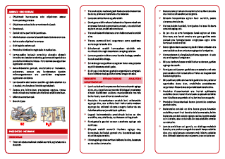 Riesgos y recomendaciones básicas de seguridad en trabajos de jardinería (Euskera)