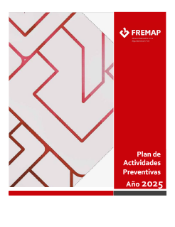 2. Plan de Actividades Preventivas 2025 FREMAP.pdf