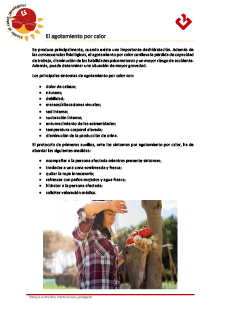 4.- El agotamiento por calor