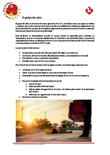 1.- El golpe de calor