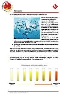 5.- Hidratación.pdf