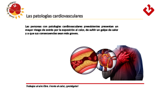 4.- Las patologías cardiovasculares